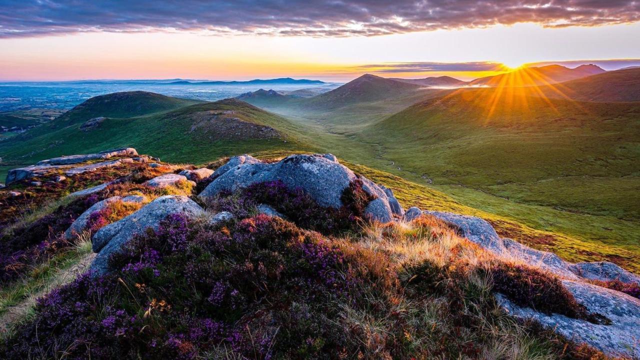 Mournes Family Cottage With Hot Tub Hilltown Exterior foto